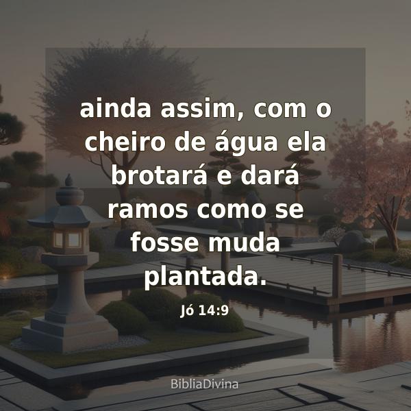 Jó 14:9