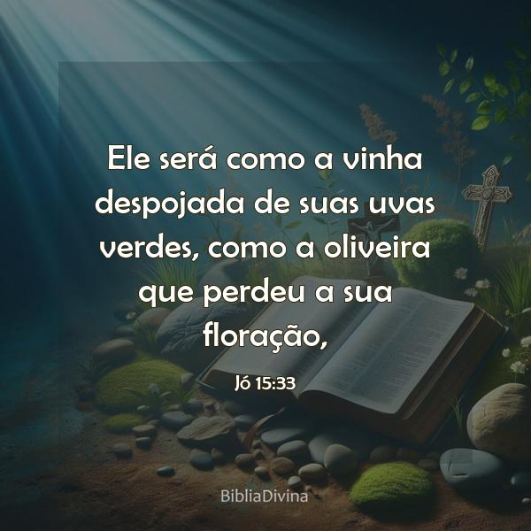 Jó 15:33