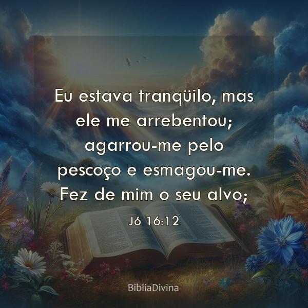 Jó 16:12