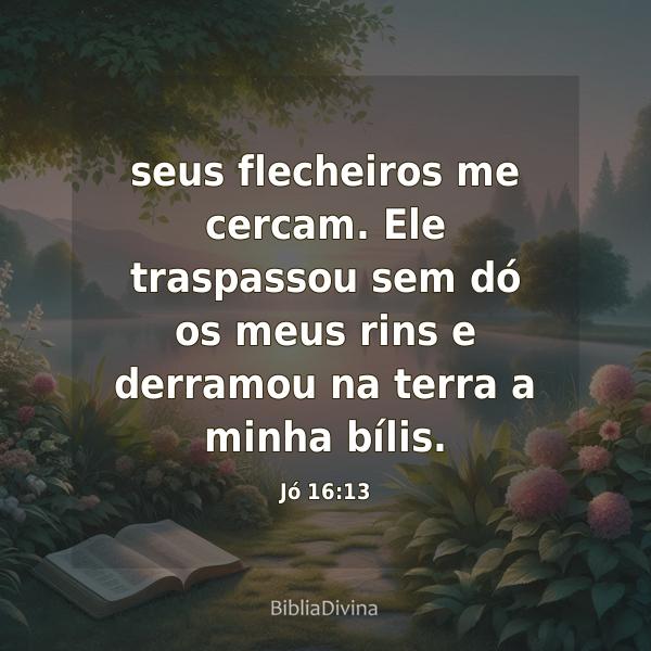 Jó 16:13