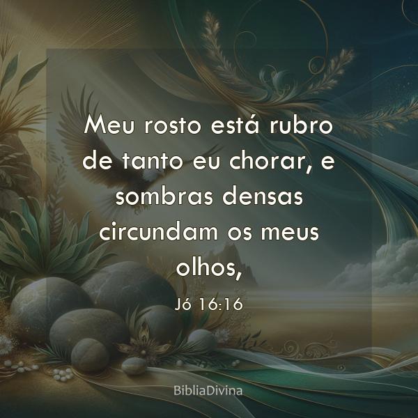 Jó 16:16