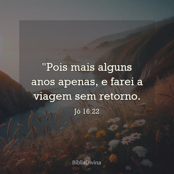 Jó 16:22