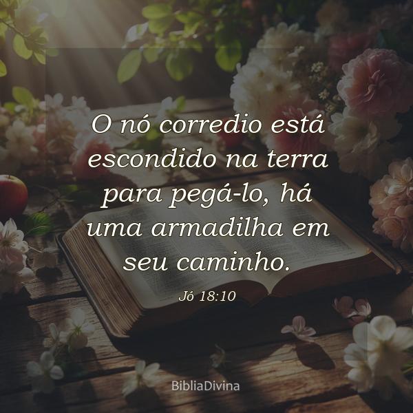 Jó 18:10