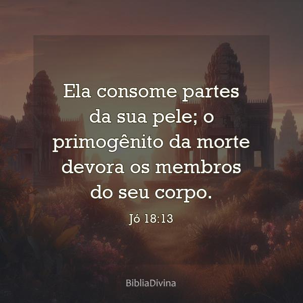 Jó 18:13