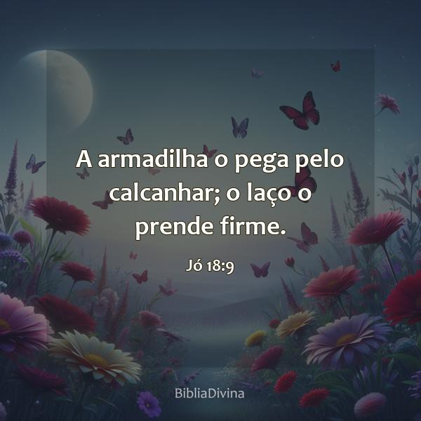 Jó 18:9