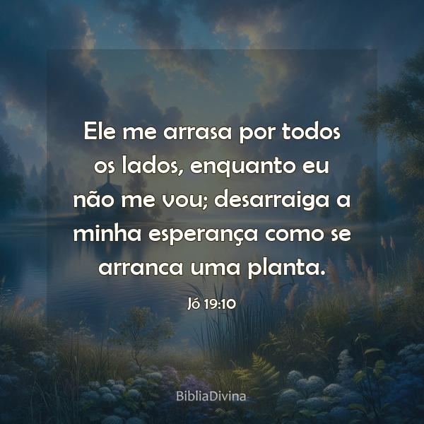 Jó 19:10