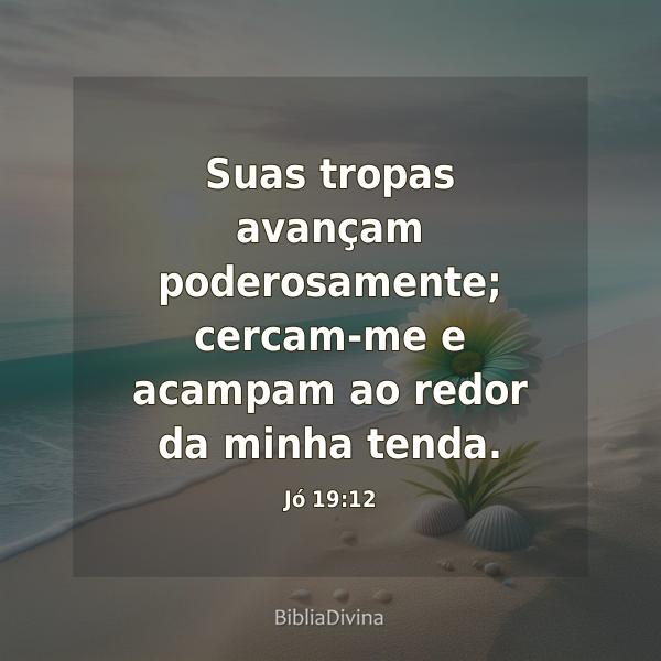 Jó 19:12