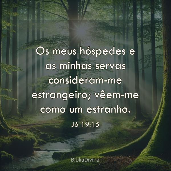 Jó 19:15