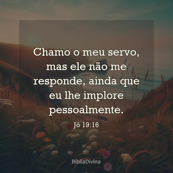 Jó 19:16