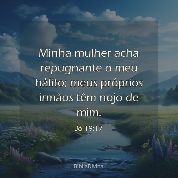 Jó 19:17