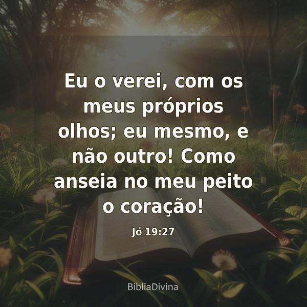 Jó 19:27