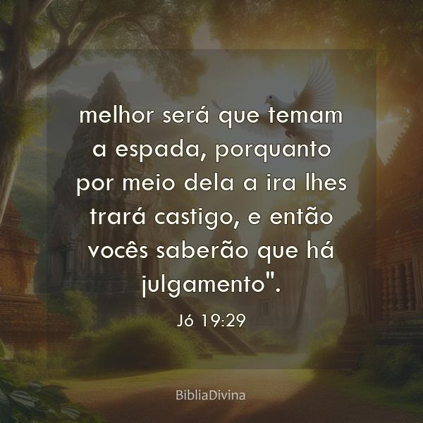 Jó 19:29