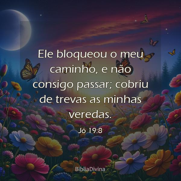 Jó 19:8