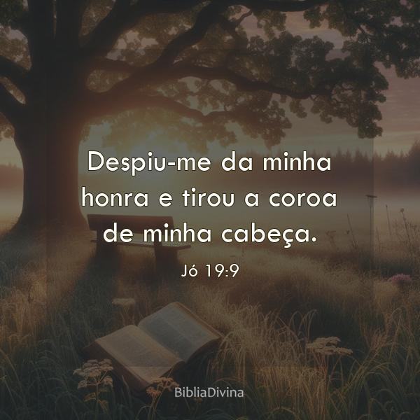 Jó 19:9