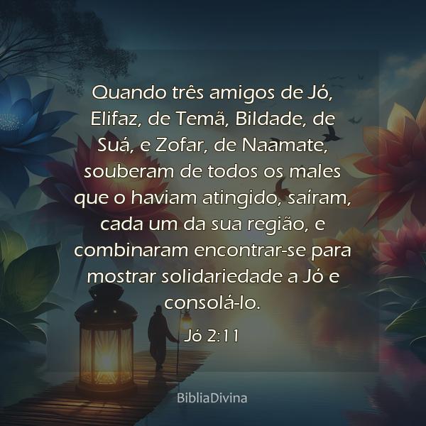 Jó 2:11