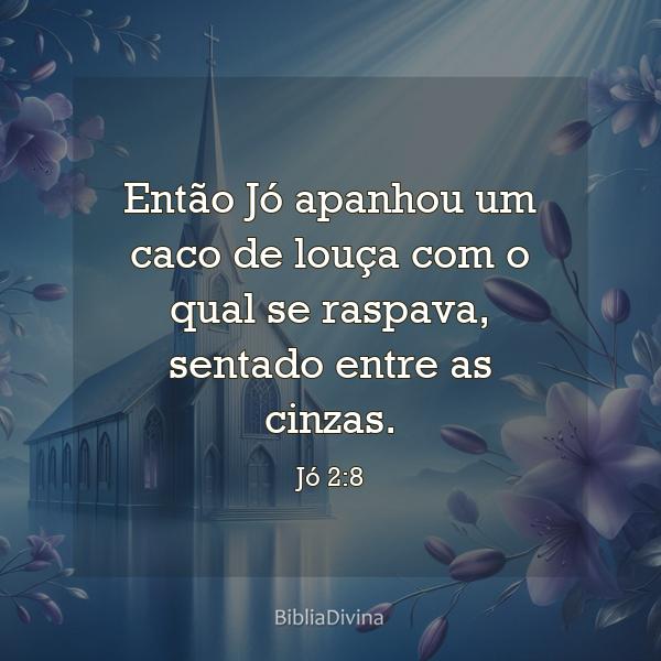 Jó 2:8