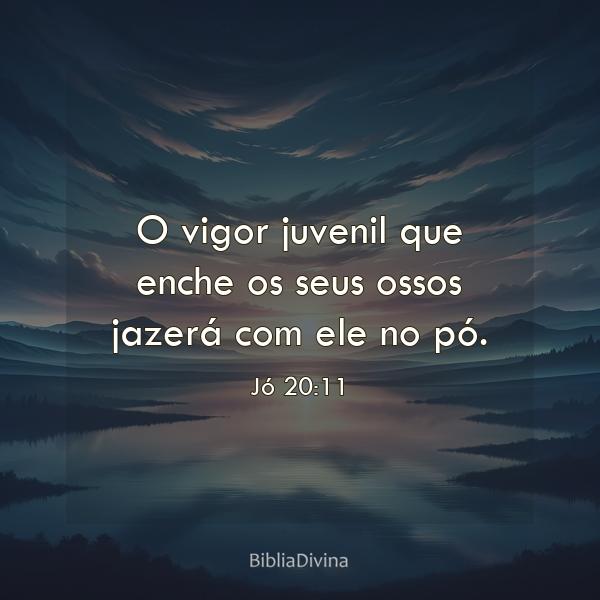 Jó 20:11