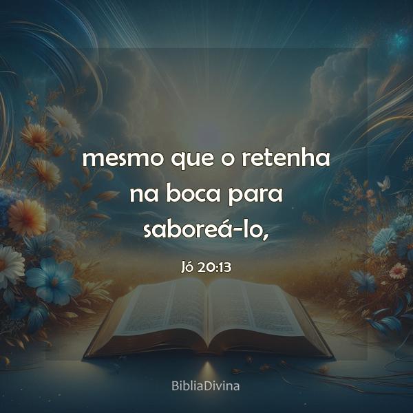 Jó 20:13