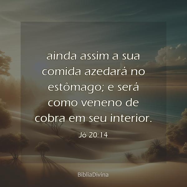 Jó 20:14