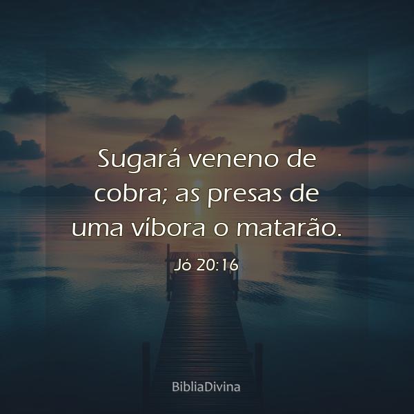 Jó 20:16