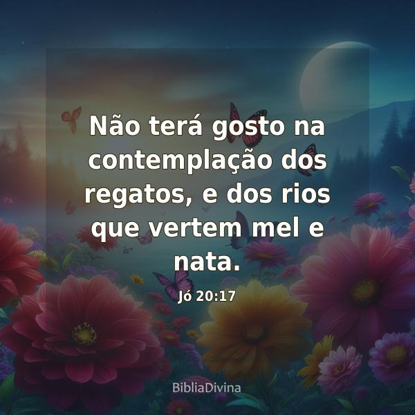 Jó 20:17