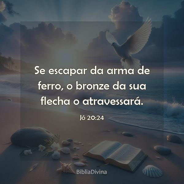 Jó 20:24