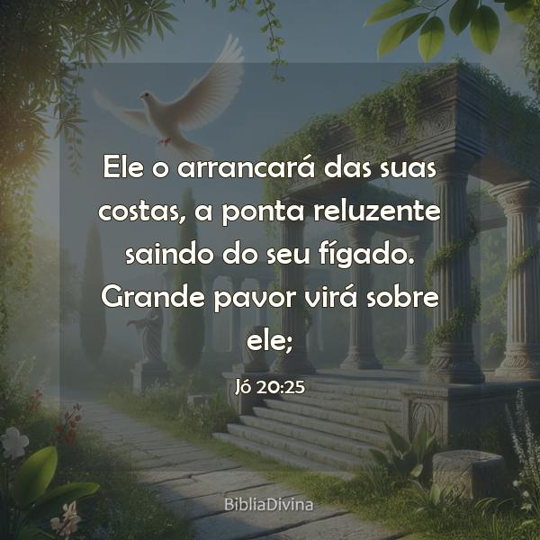 Jó 20:25