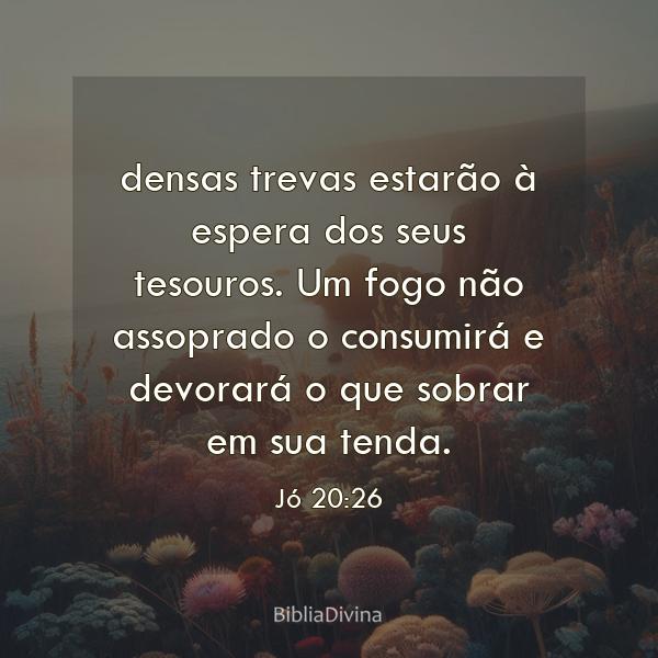 Jó 20:26