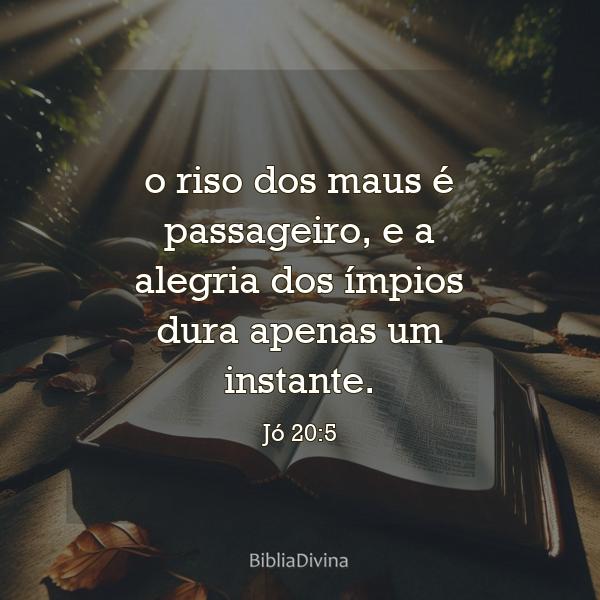 Jó 20:5