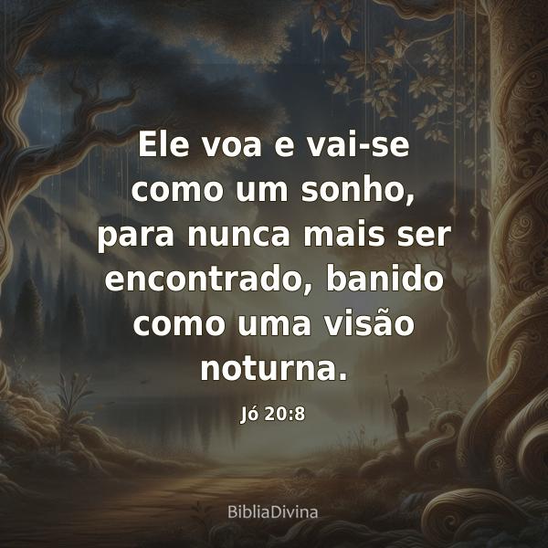 Jó 20:8