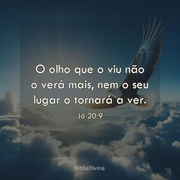 Jó 20:9