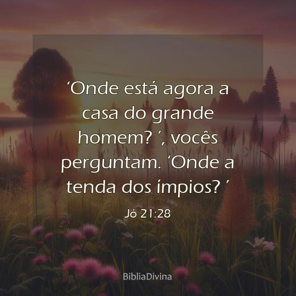 Jó 21:28