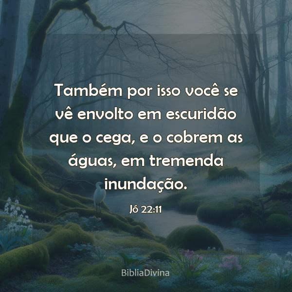 Jó 22:11