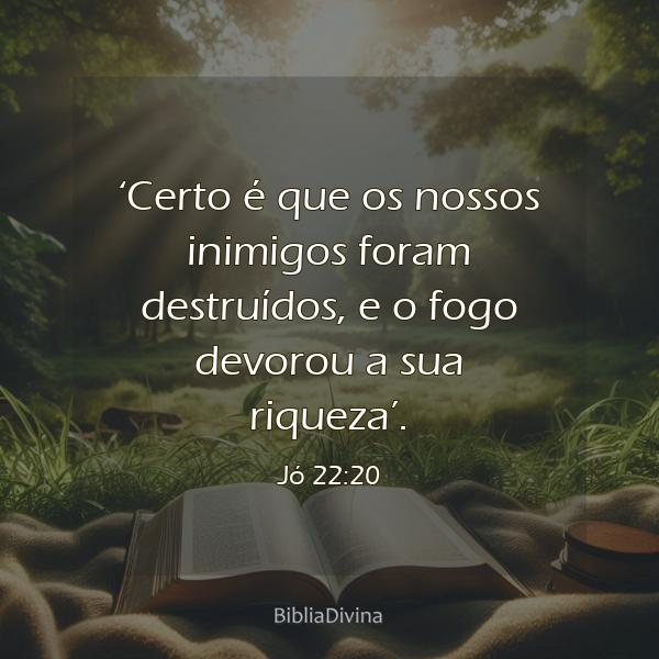 Jó 22:20