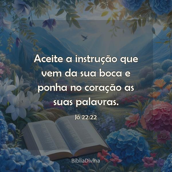 Jó 22:22