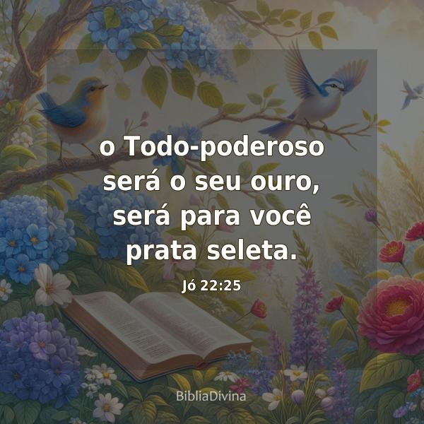 Jó 22:25