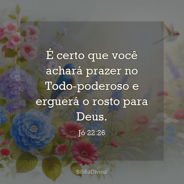 Jó 22:26