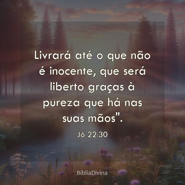 Jó 22:30