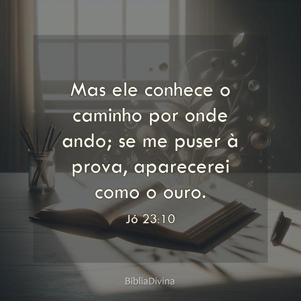 Jó 23:10