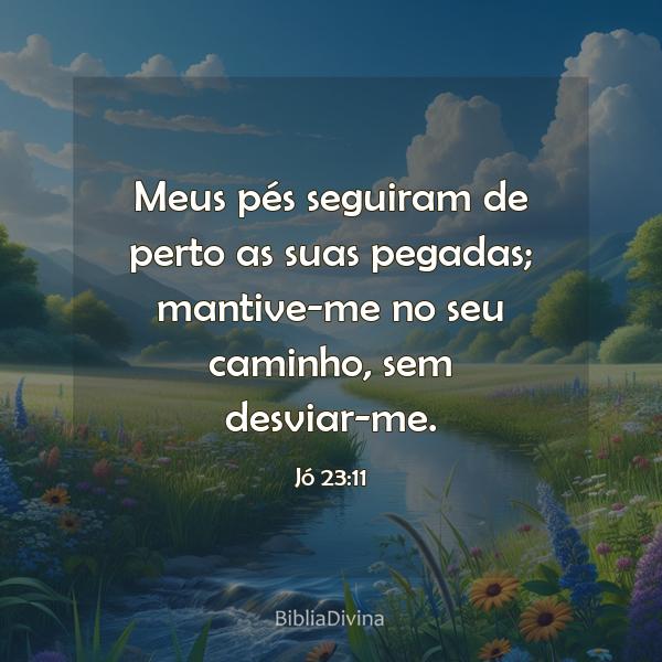 Jó 23:11