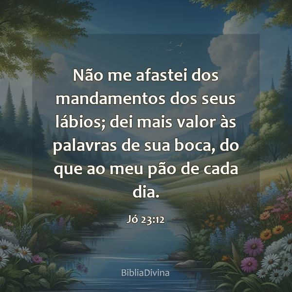 Jó 23:12