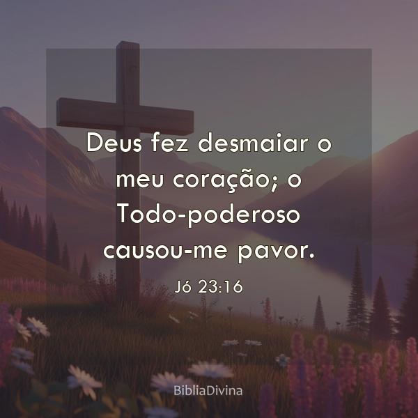 Jó 23:16