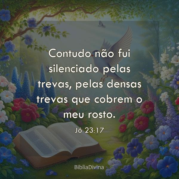 Jó 23:17