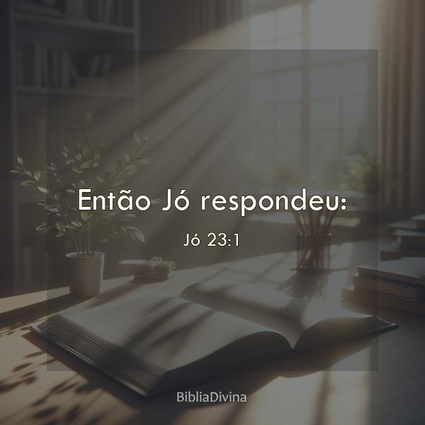 Jó 23:1