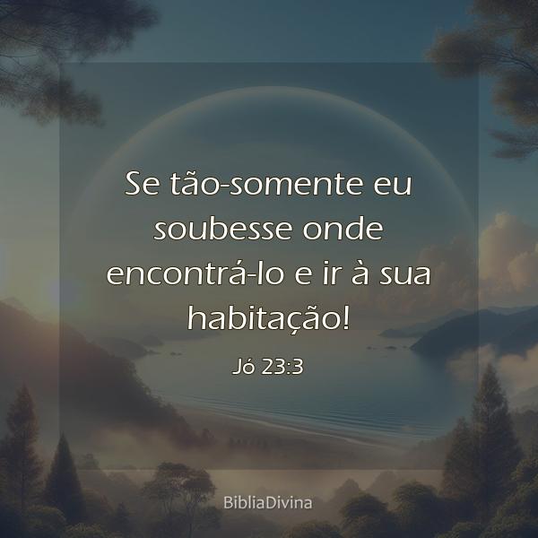 Jó 23:3