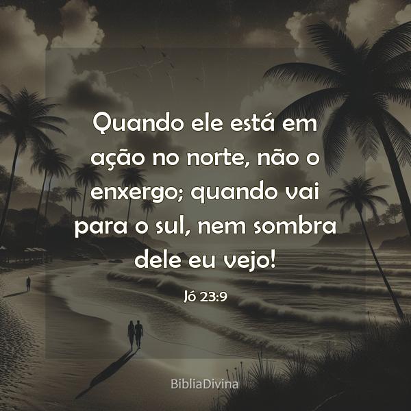 Jó 23:9