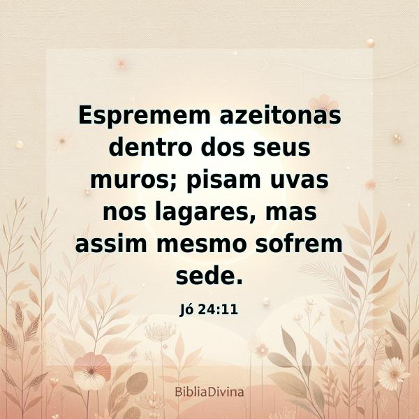 Jó 24:11