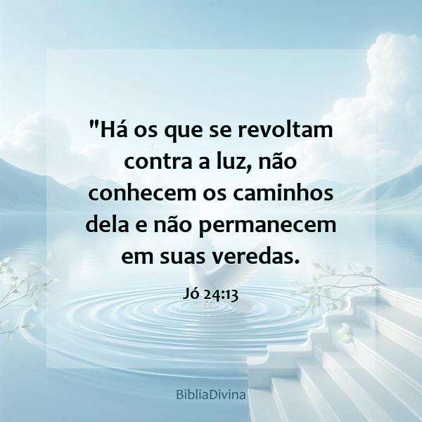 Jó 24:13