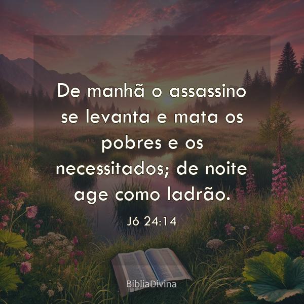 Jó 24:14