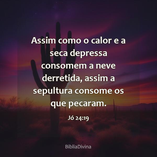 Jó 24:19